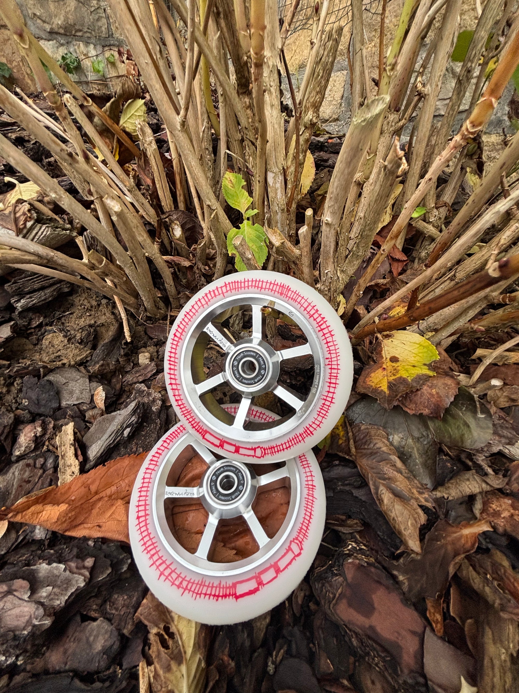 North roues riley Maltais Signature wheels