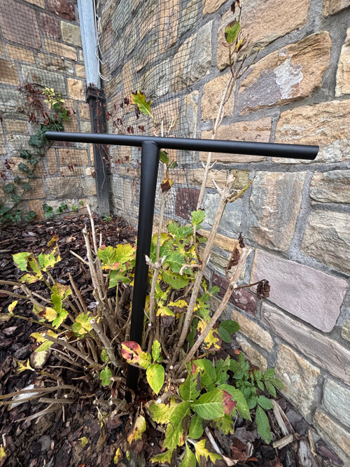 ETHIC DTC Bar Tenacity V2 770mm - Black